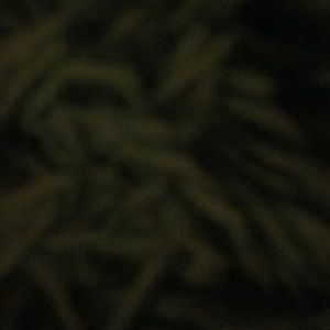 Meet your Posher, Sa’reah